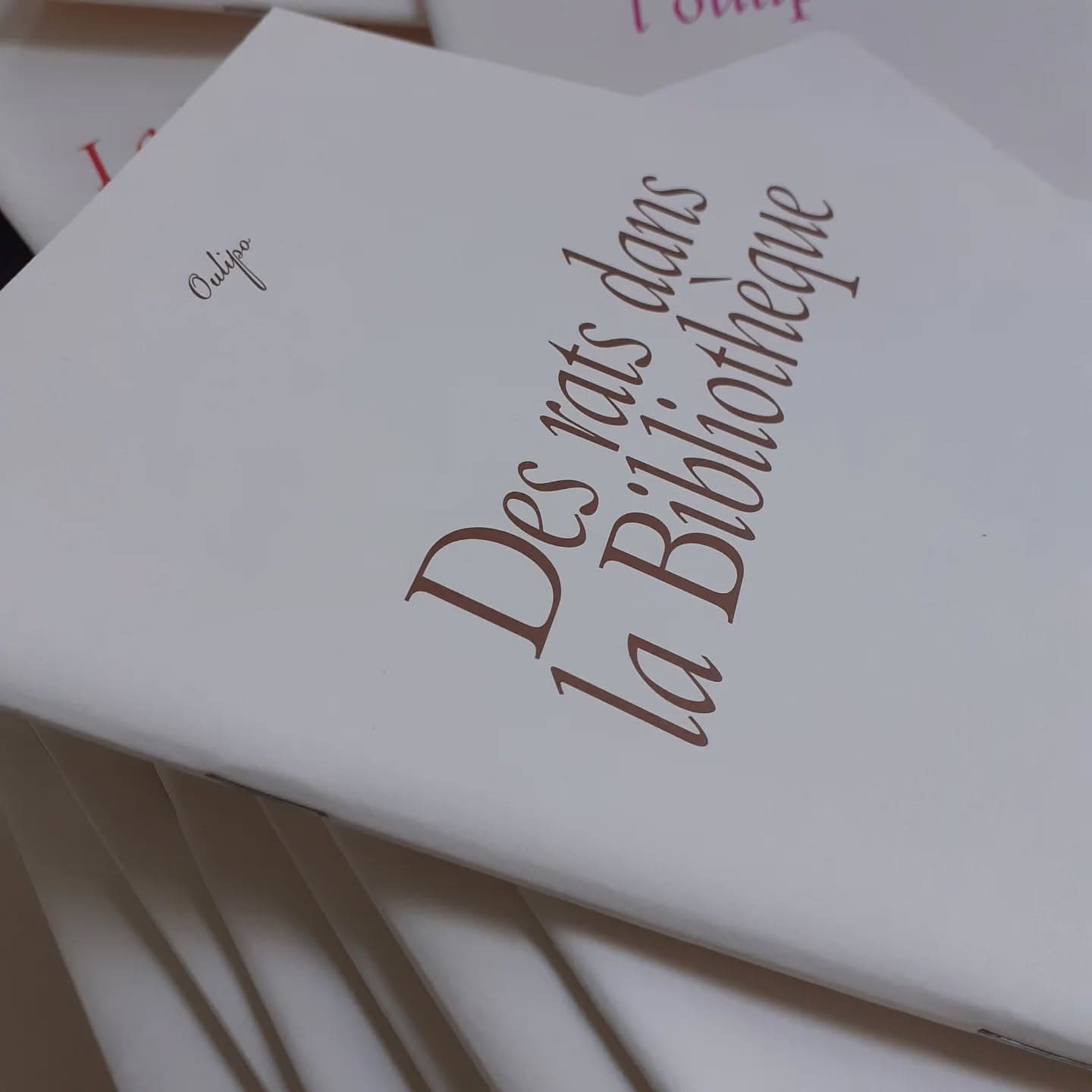 Selon la définition prêtée à Raymond Queneau, l'auteur oulipien est « un rat qui construit lui-même le labyrinthe dont il se propose de sort…
